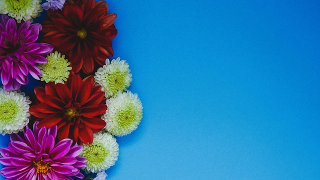 一个人能单 一个人能单