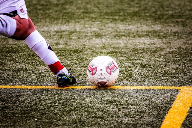 球迷们将见 球迷们将见