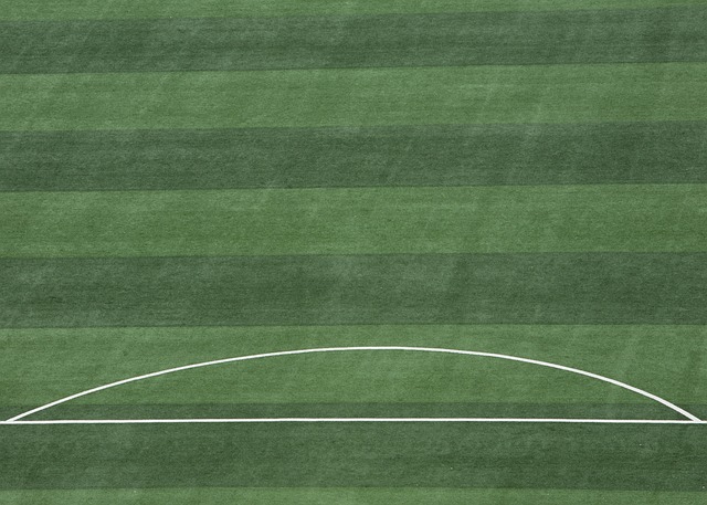 现出超凡的 现出超凡的