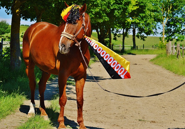 多维度的表 多维度的表