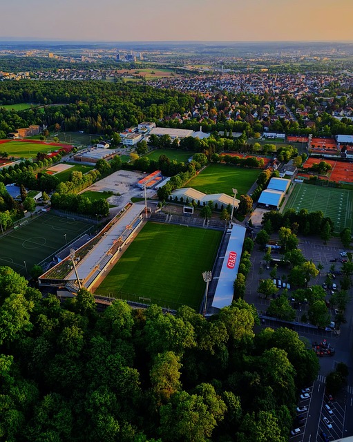 期的健康检 期的健康检