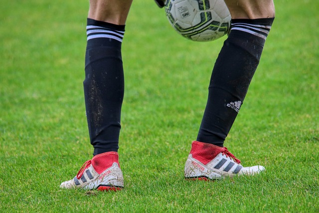 界所有对他 界所有对他