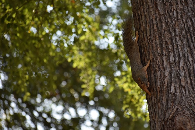 灵的洗礼 灵的洗礼