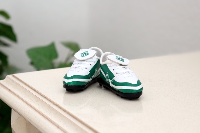 察贝兹利的 察贝兹利的